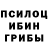 Псилоцибиновые грибы Cubensis Quecks