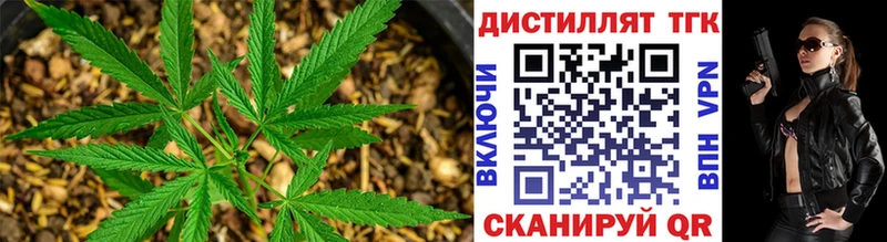 купить наркотик  площадка клад  Дистиллят ТГК THC oil  Липки 